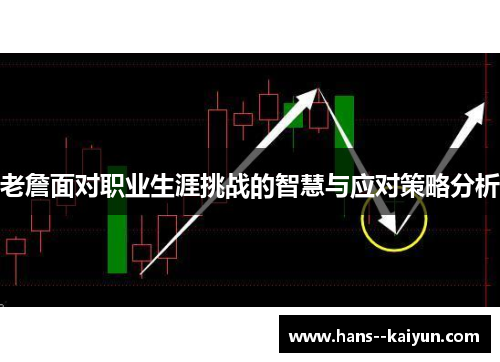 老詹面对职业生涯挑战的智慧与应对策略分析 老詹面对职业生涯挑战的智慧与应对策略分析